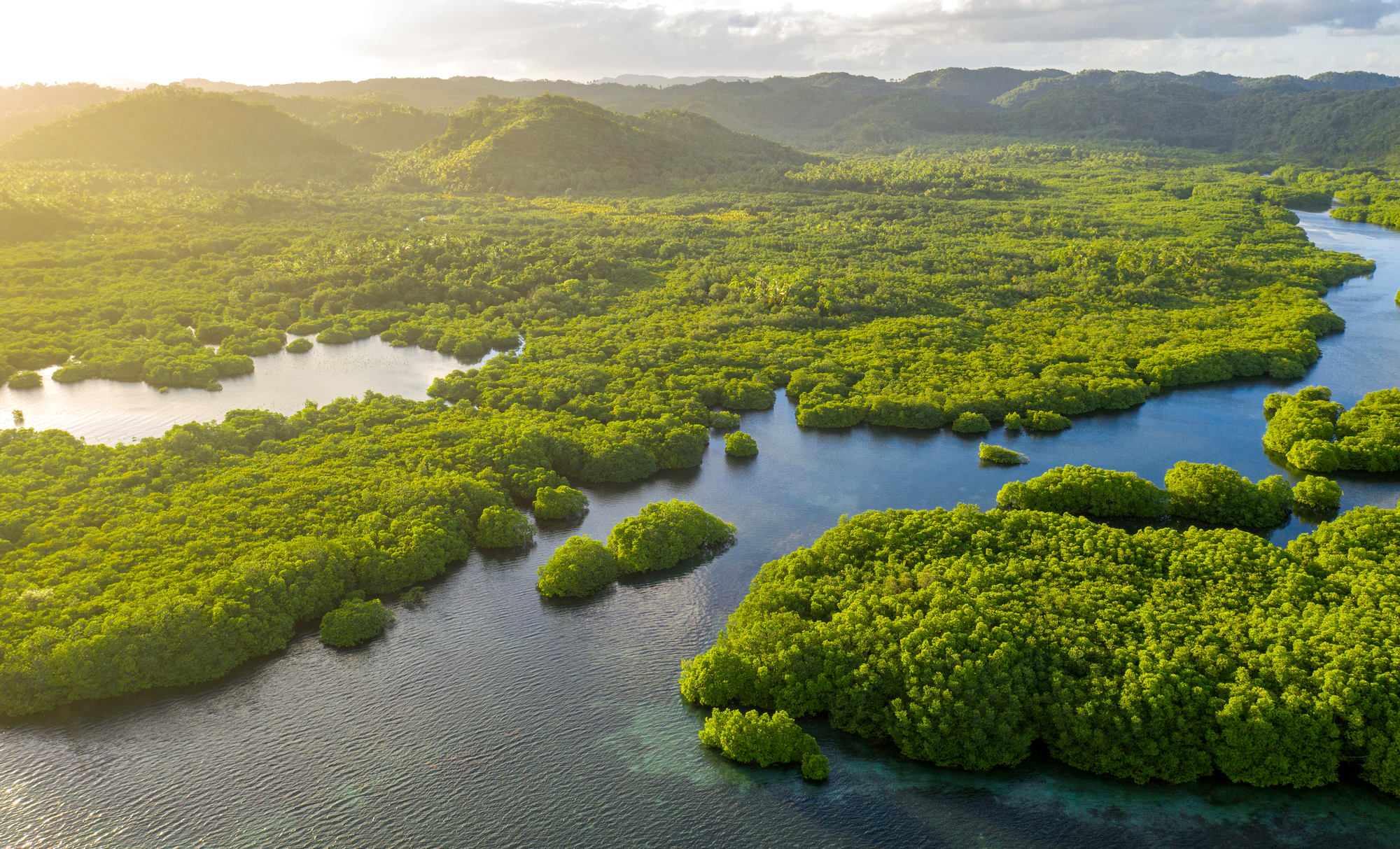 地球の肺とも呼ばれるアマゾン川流域の熱帯雨林